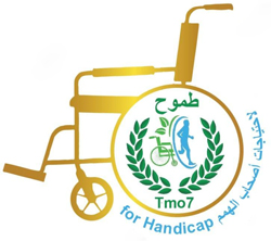 Tmo7 for Handicap